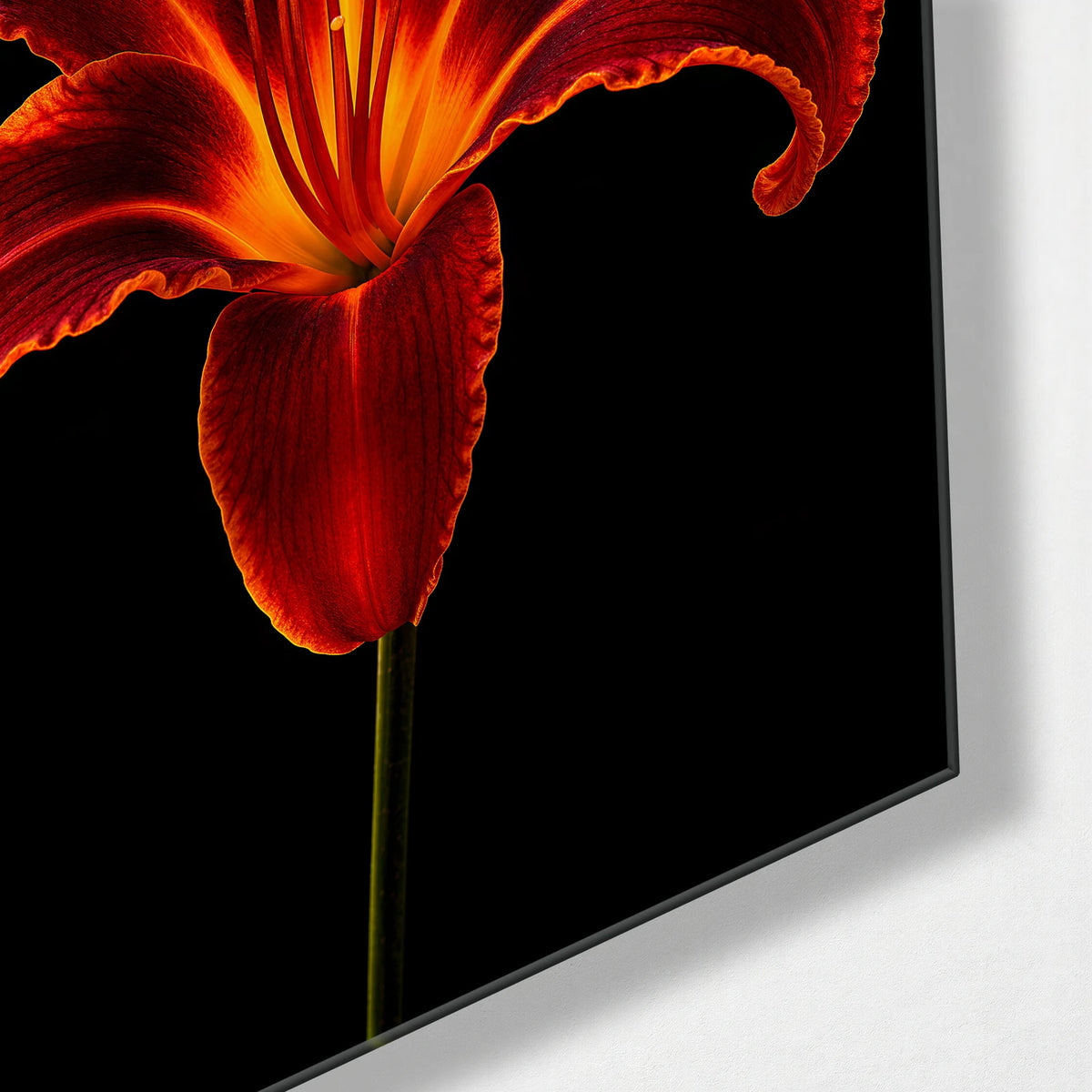Ember Lily — corner detail of glass wall art
