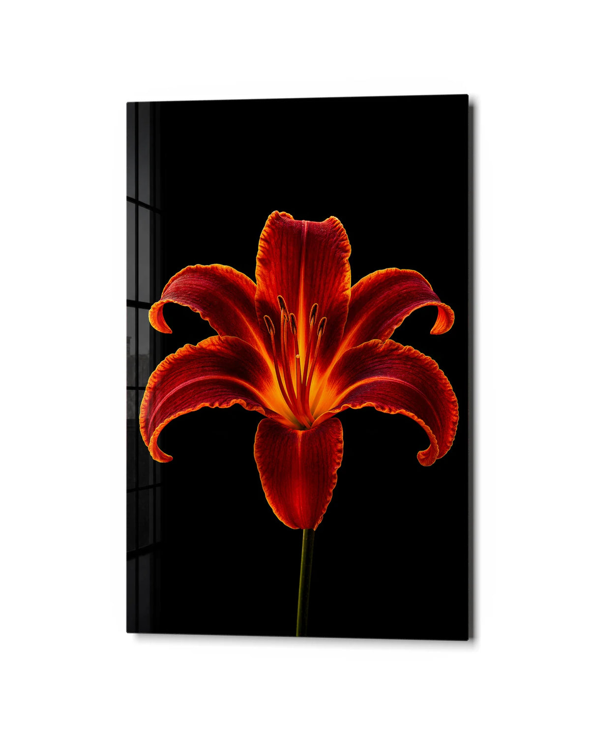 Ember Lily — studio view of glass wall art