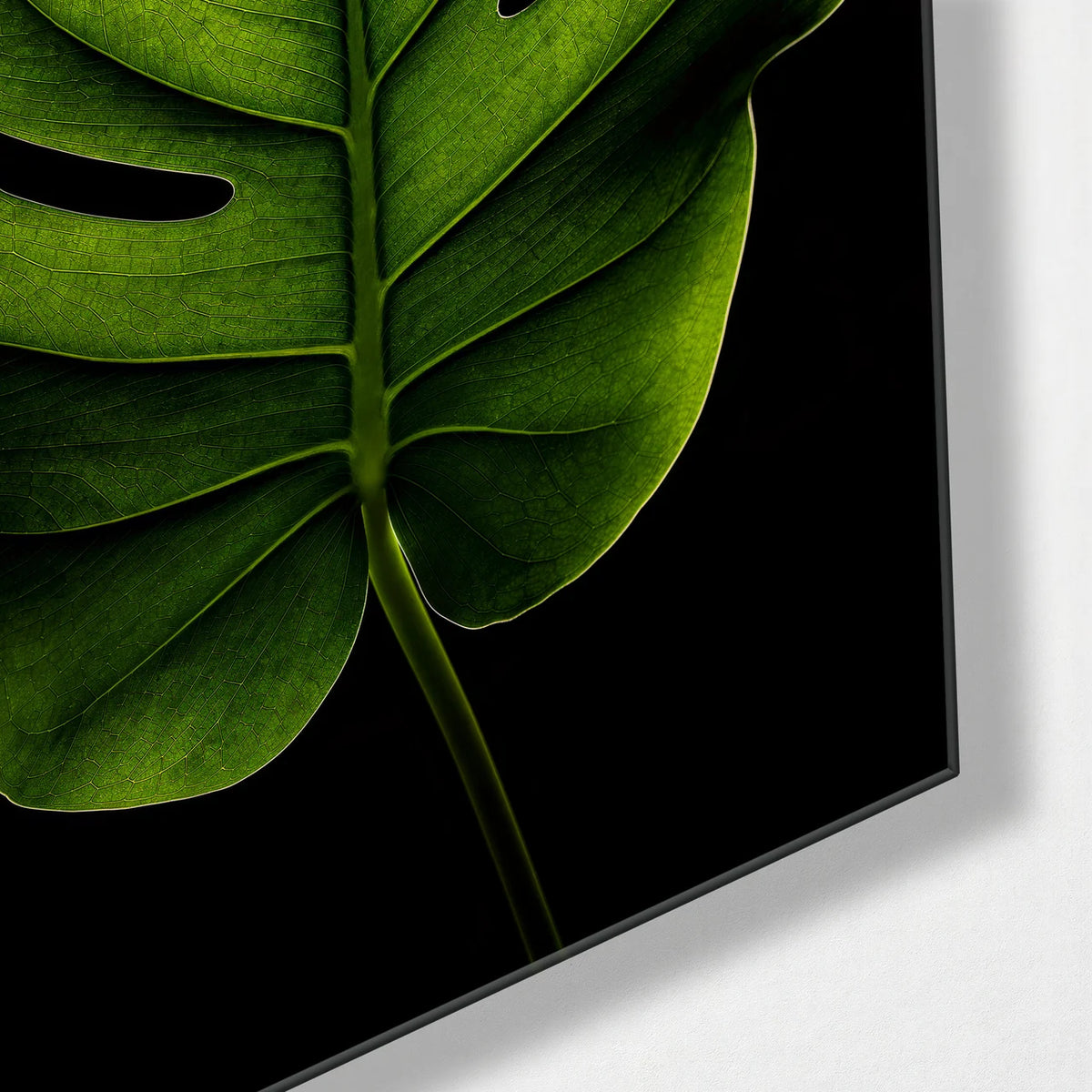Single Monstera — corner detail of glass wall art