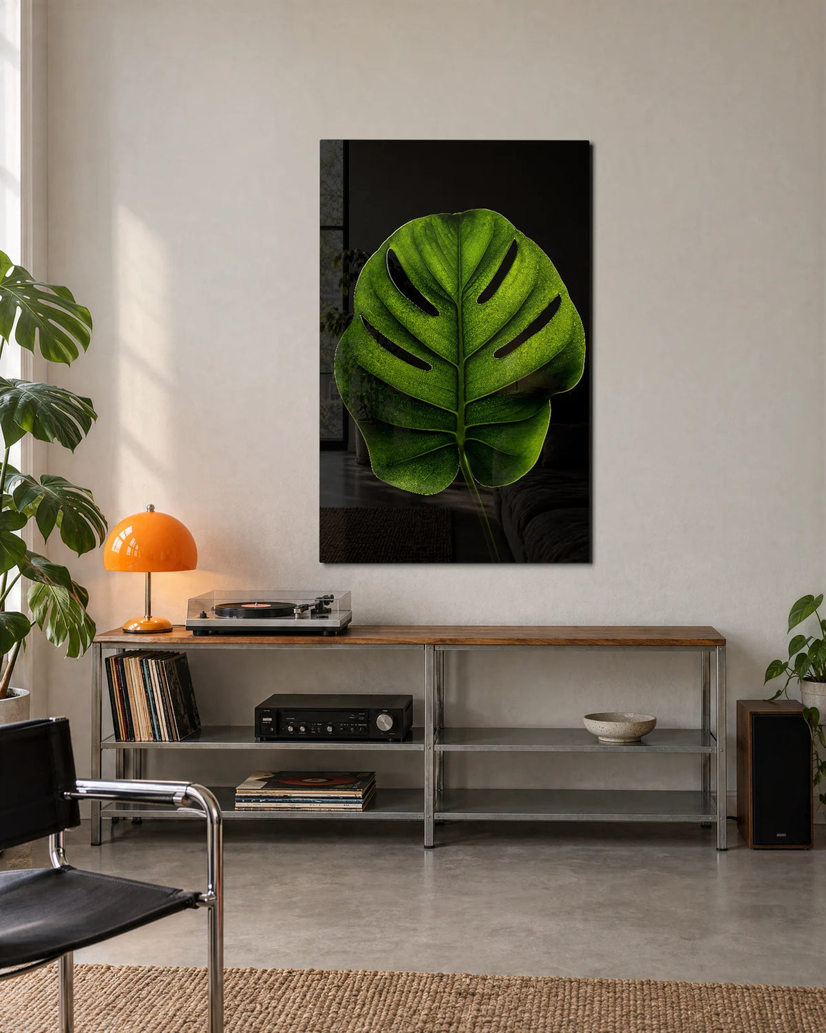 Single Monstera — shown in a living space