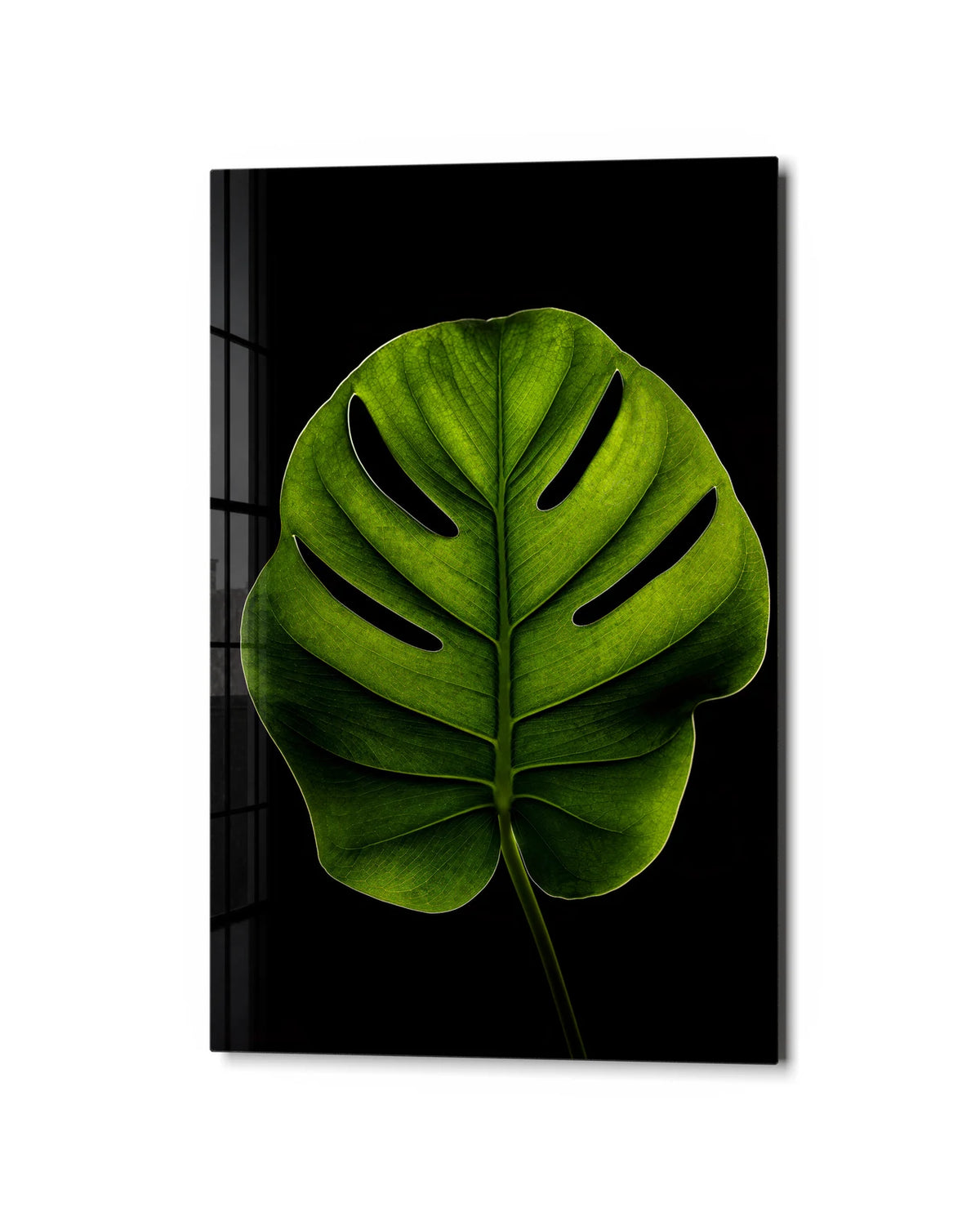 Single Monstera — studio view of glass wall art
