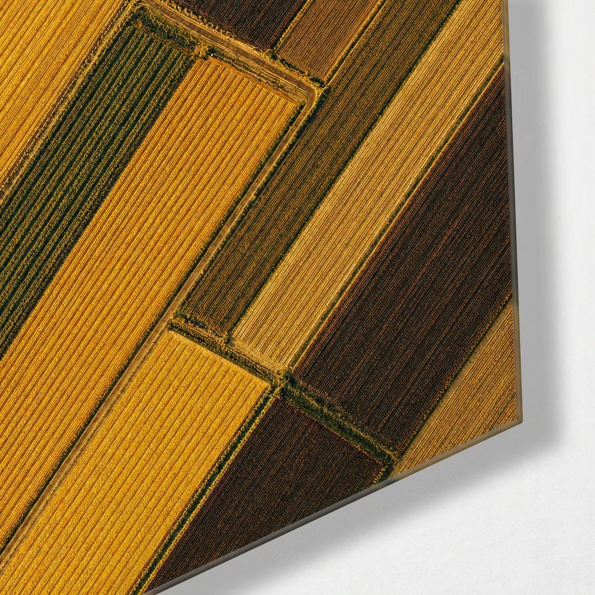 Fields on the Diagonal — corner detail of glass wall art
