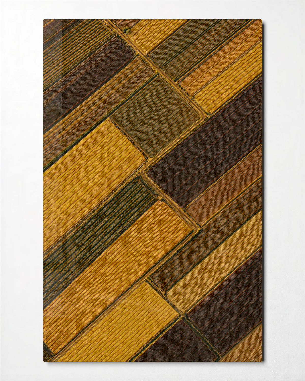 Fields on the Diagonal — front view of glass wall art