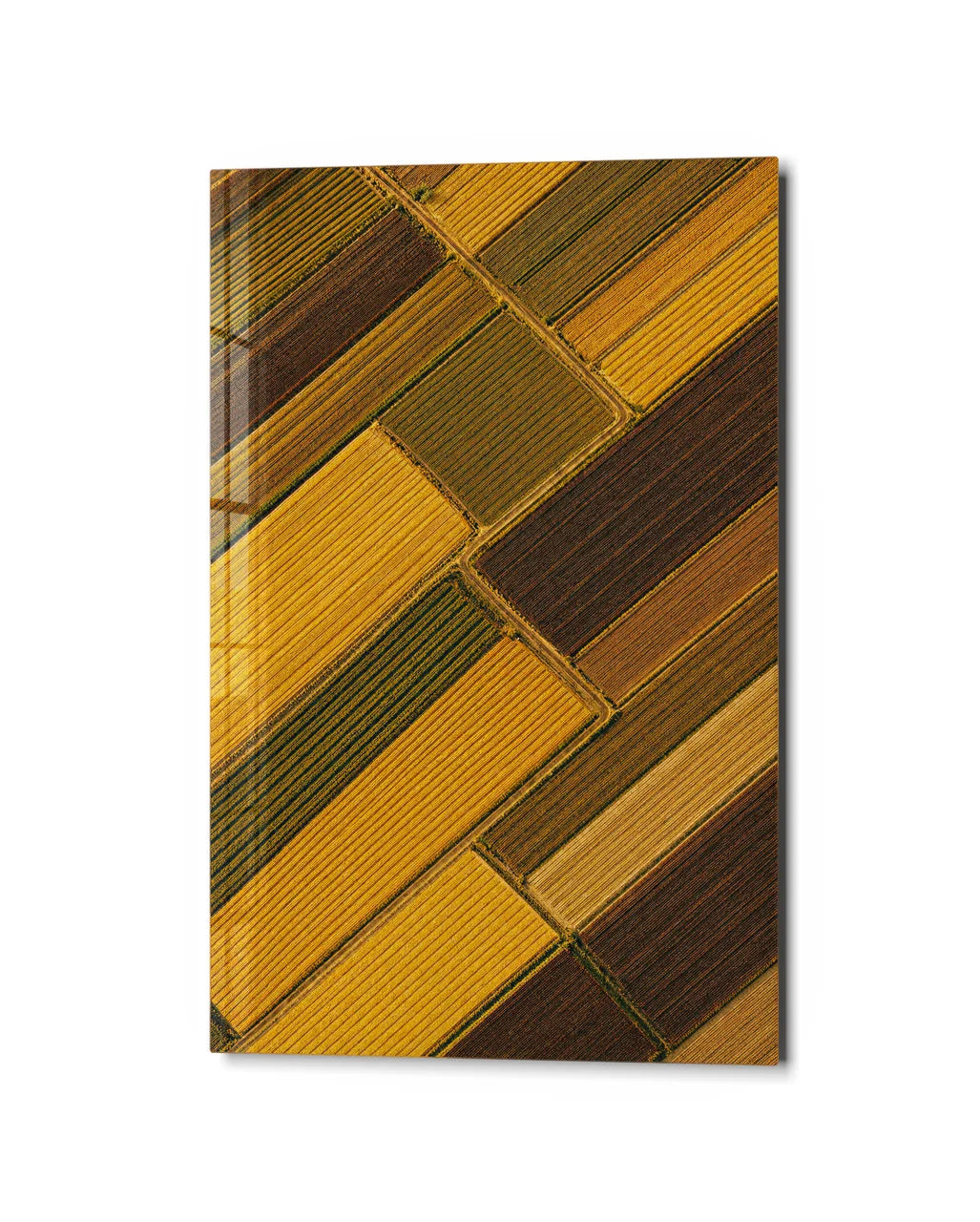 Fields on the Diagonal — studio view of glass wall art