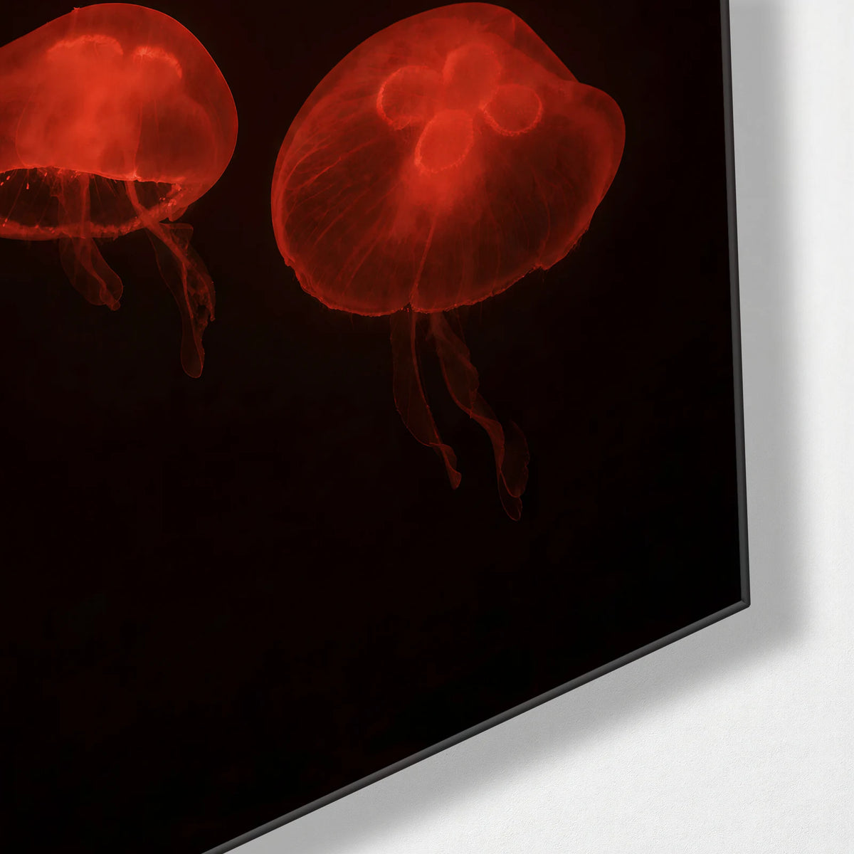 Red Drifters — corner detail of glass wall art