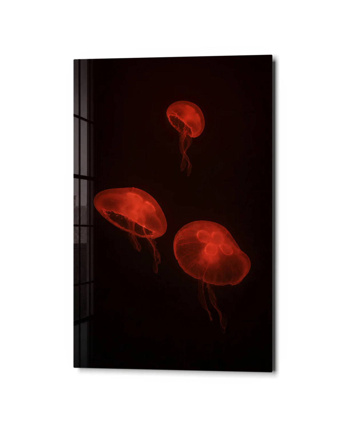 Red Drifters — studio view of glass wall art