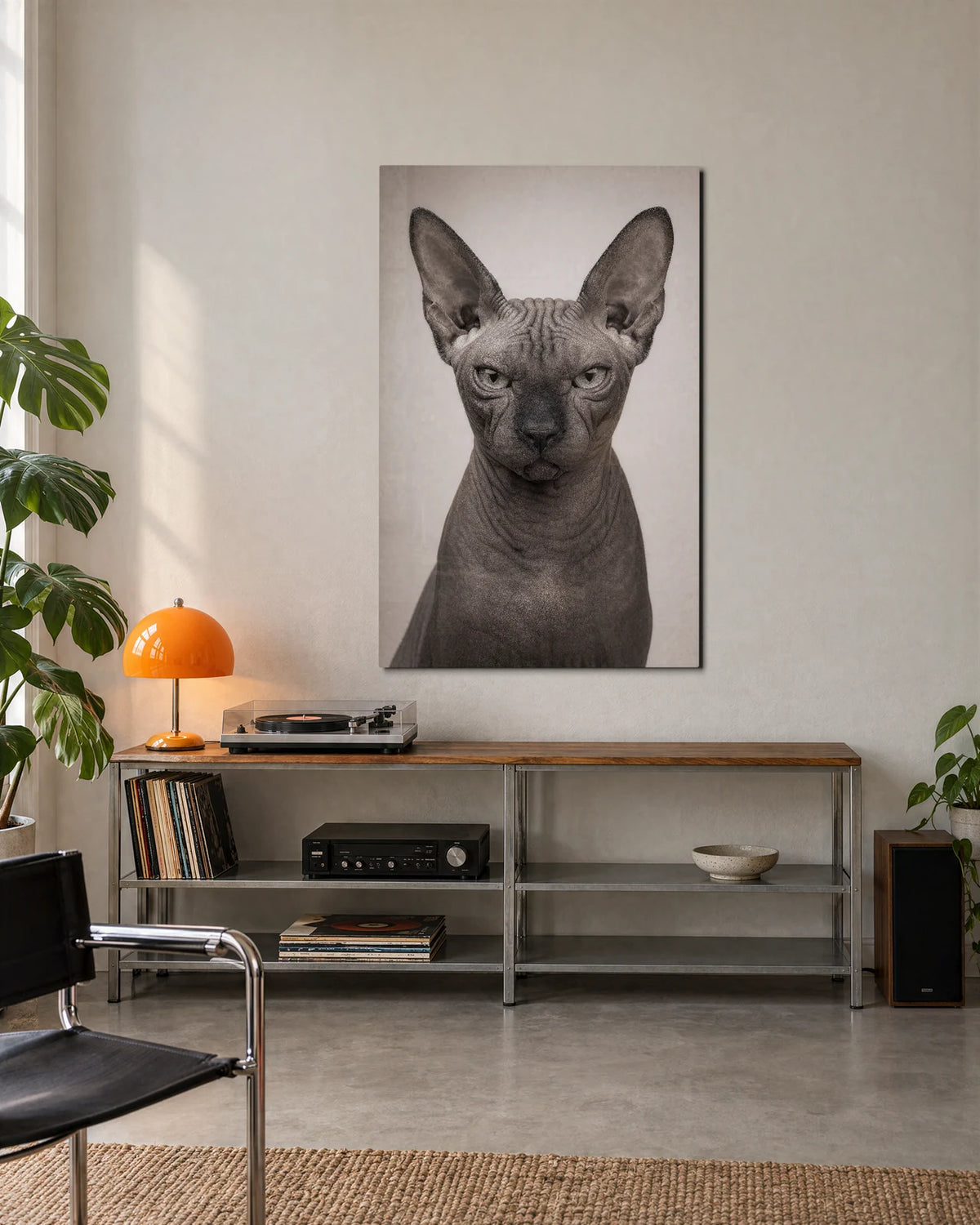 Sphinx Stare — shown in a living space