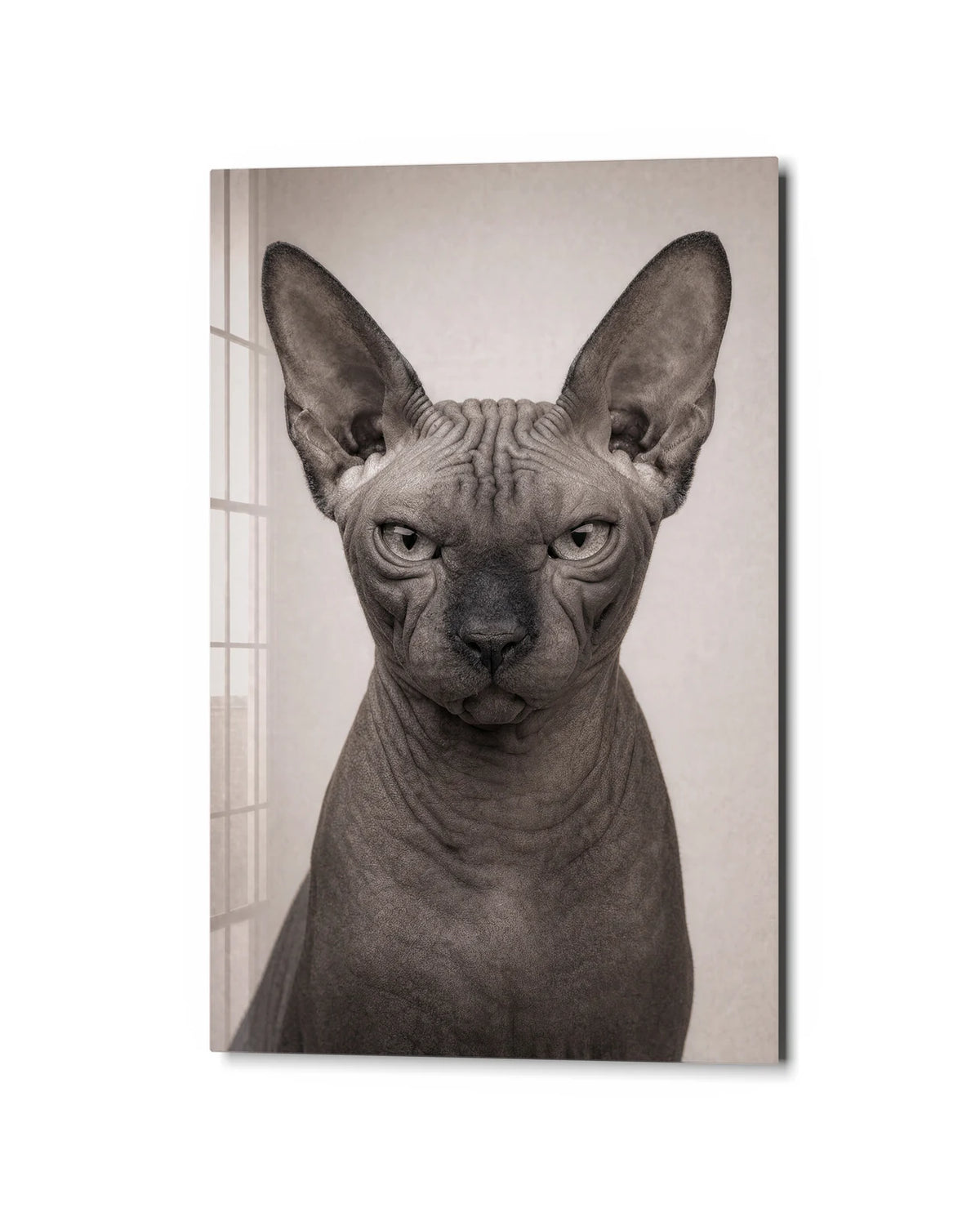 Sphinx Stare — studio view of glass wall art