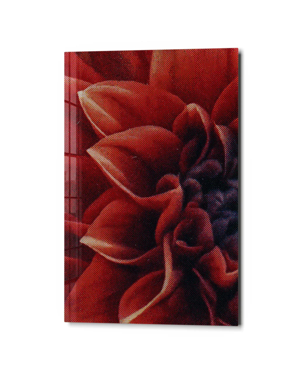 Scarlet Petals — studio view of glass wall art