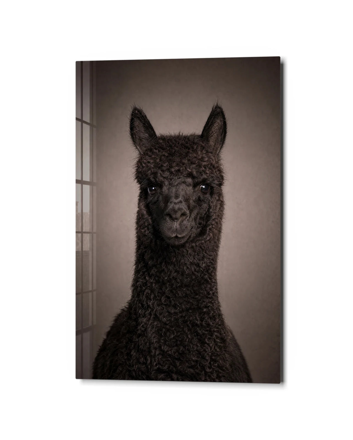 Face to Face — studio view of glass wall art