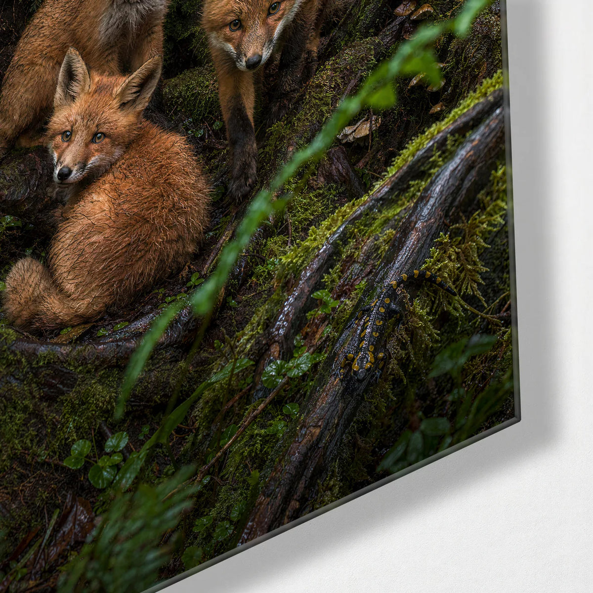 Foxes in the Ferns — corner detail of glass wall art