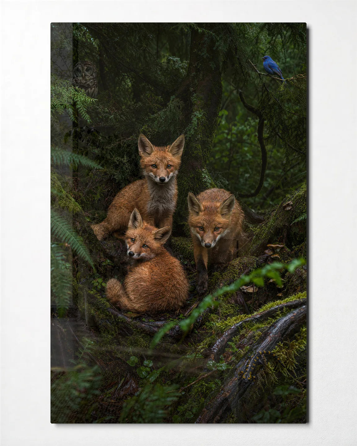 Foxes in the Ferns — front view of glass wall art