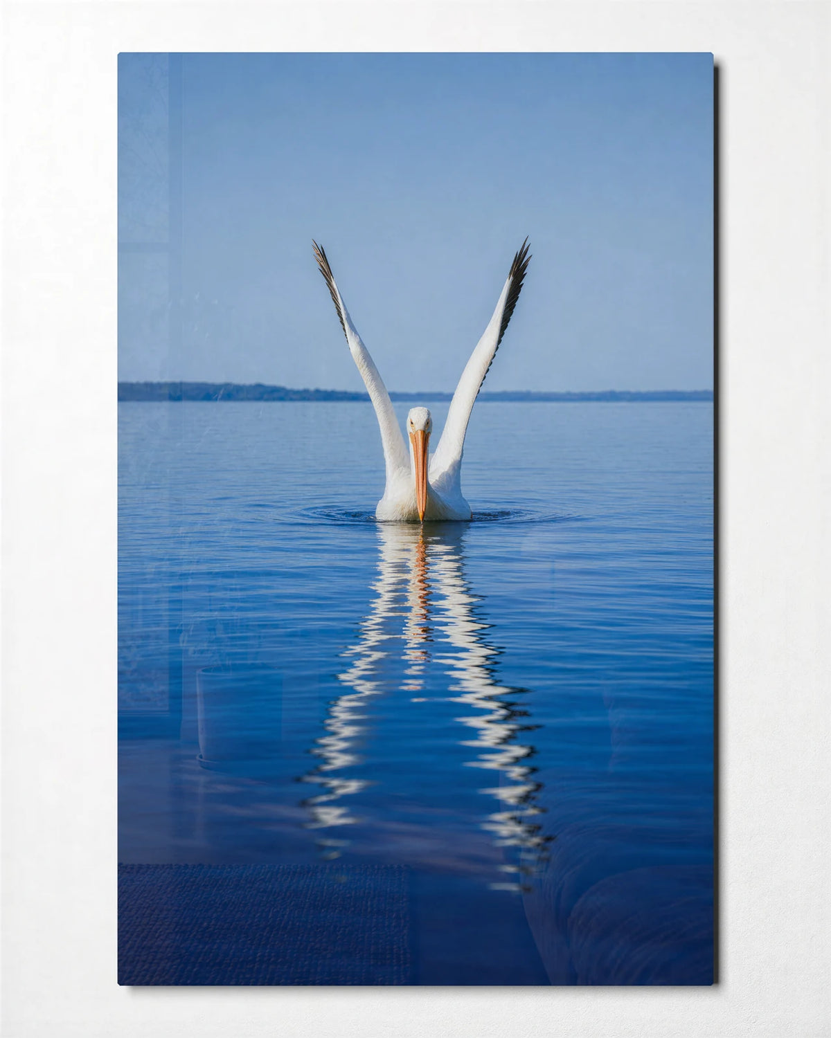 Wings Above Water — front view of glass wall art