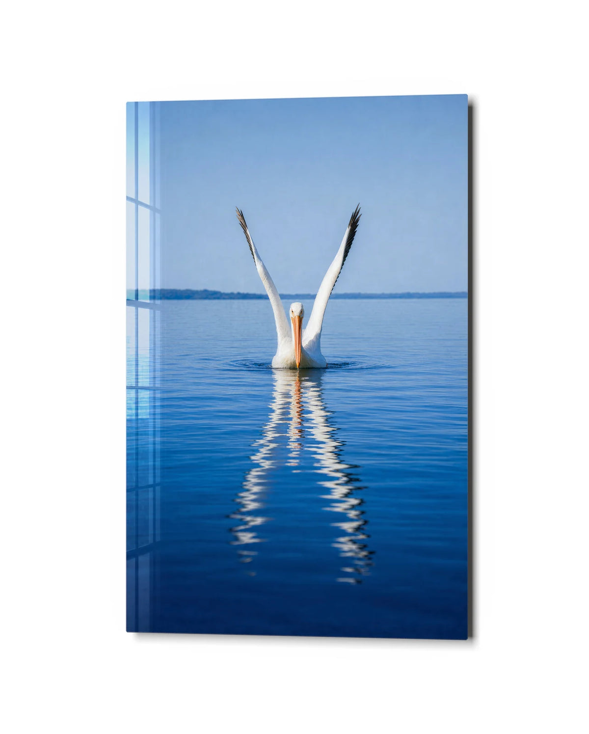 Wings Above Water — studio view of glass wall art