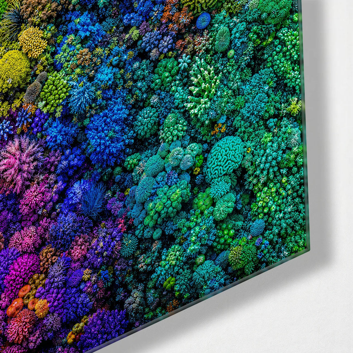 Colour Underwater — corner detail of glass wall art
