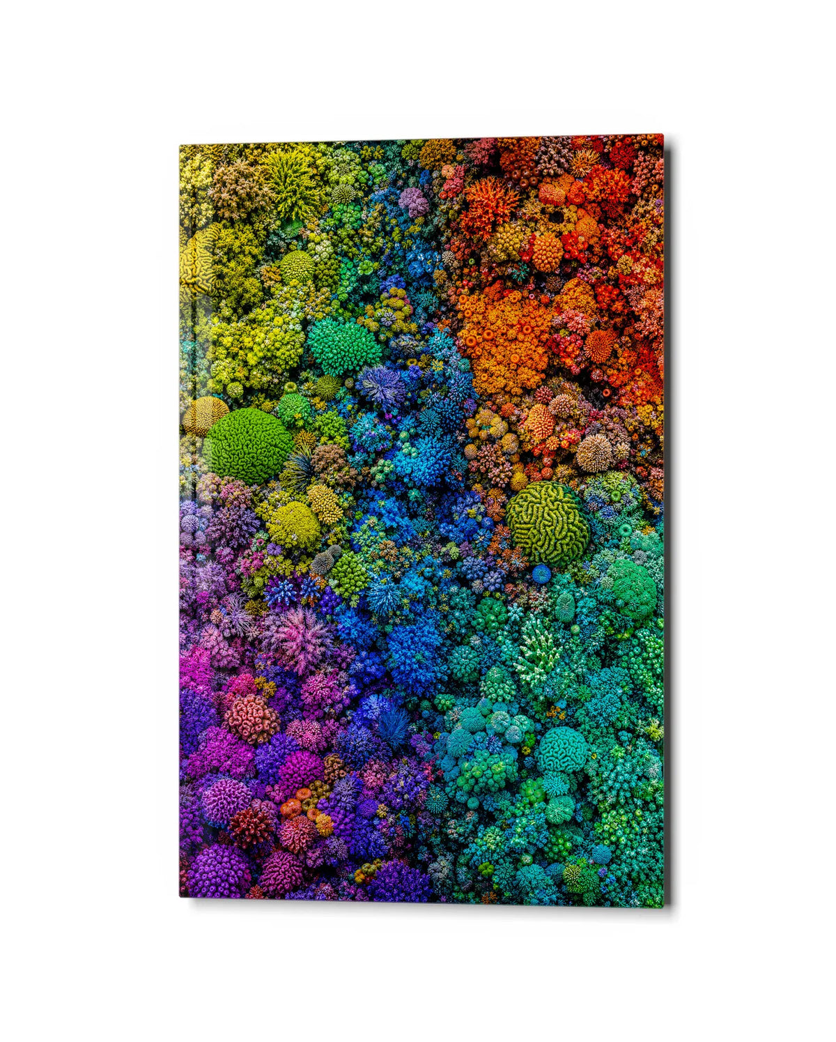 Colour Underwater — studio view of glass wall art