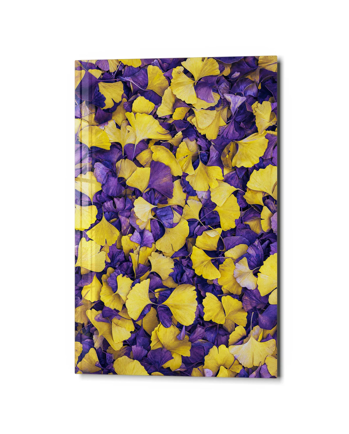 Yellow Leaves Violet Ground — studio view of glass wall art
