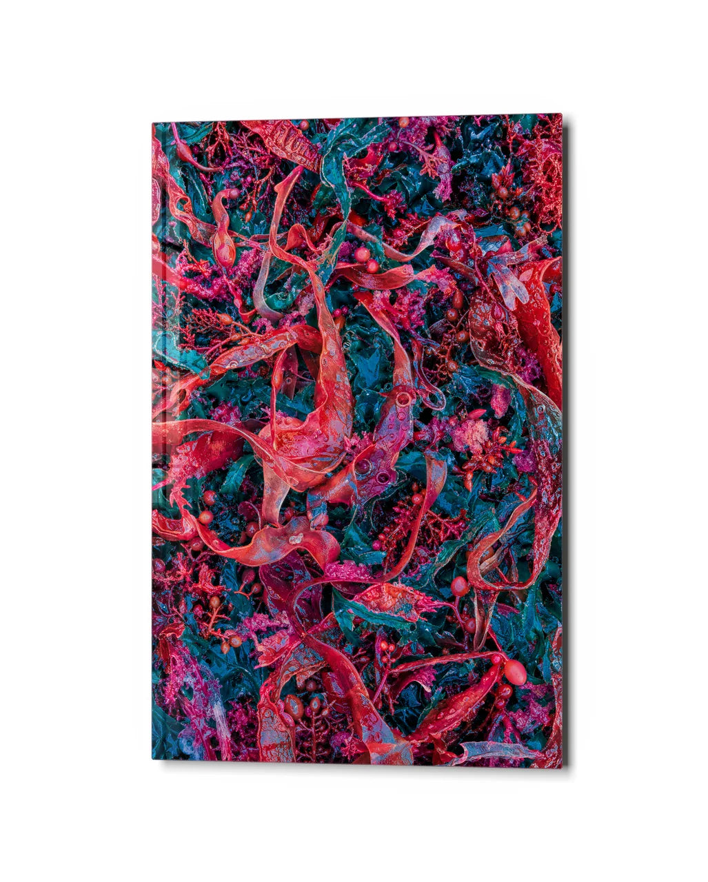 Crimson Undergrowth — studio view of glass wall art