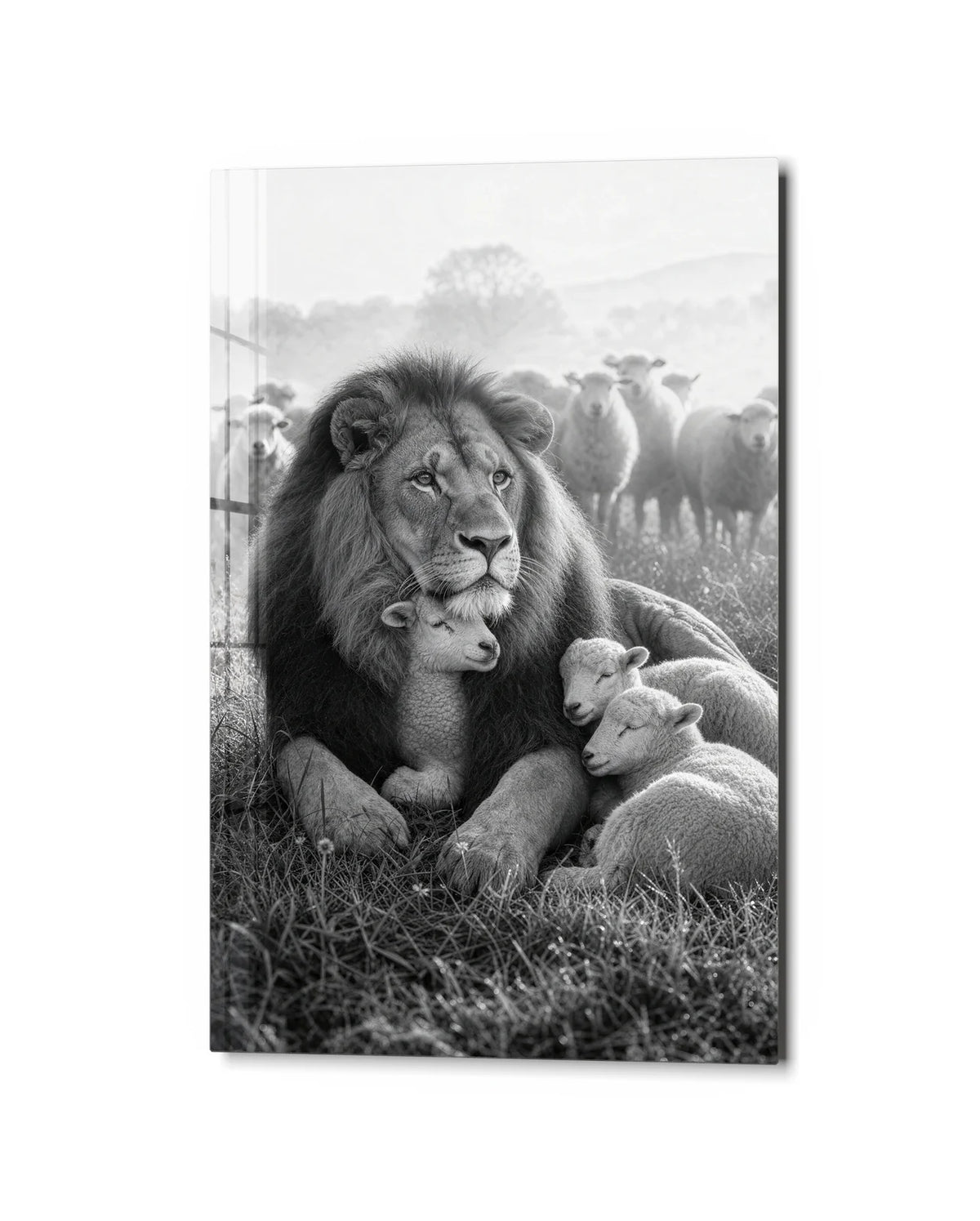 Gentle Company — studio view of glass wall art