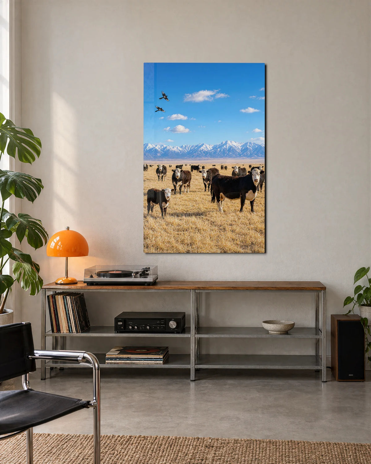 Cows under Open Sky — shown in a living space