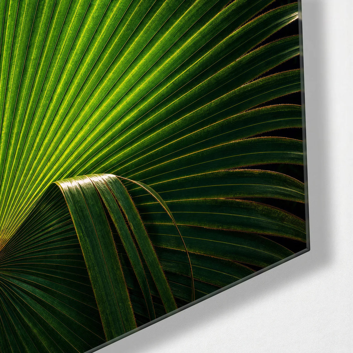 Palm Fan — corner detail of glass wall art