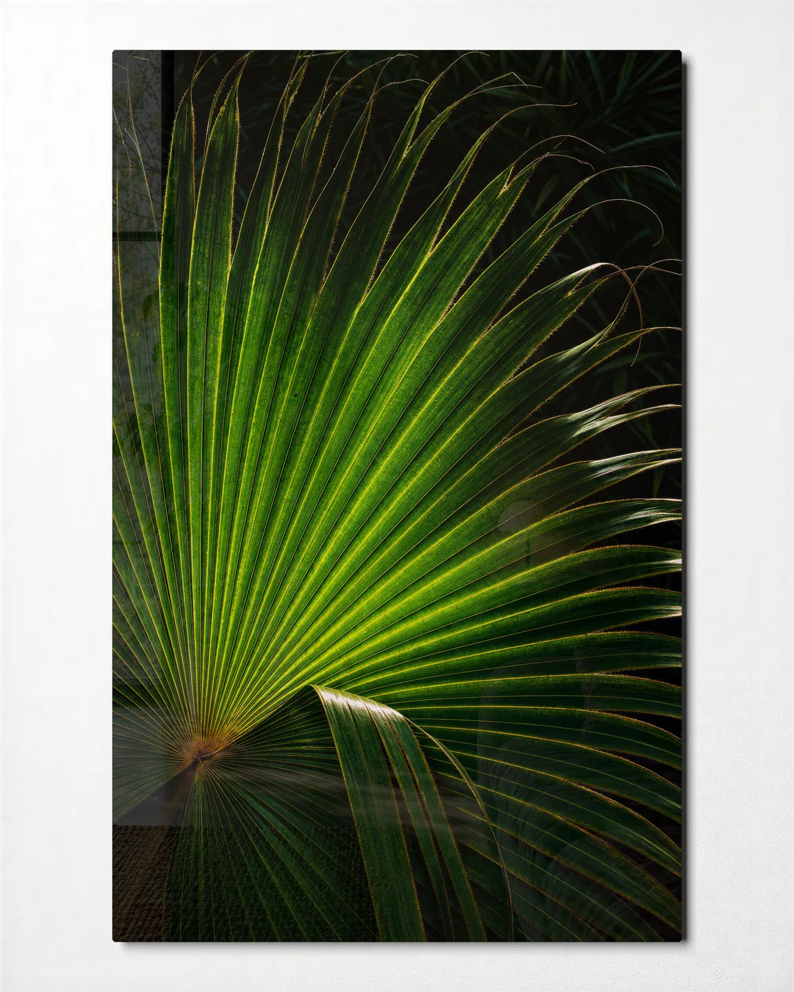 Palm Fan — front view of glass wall art