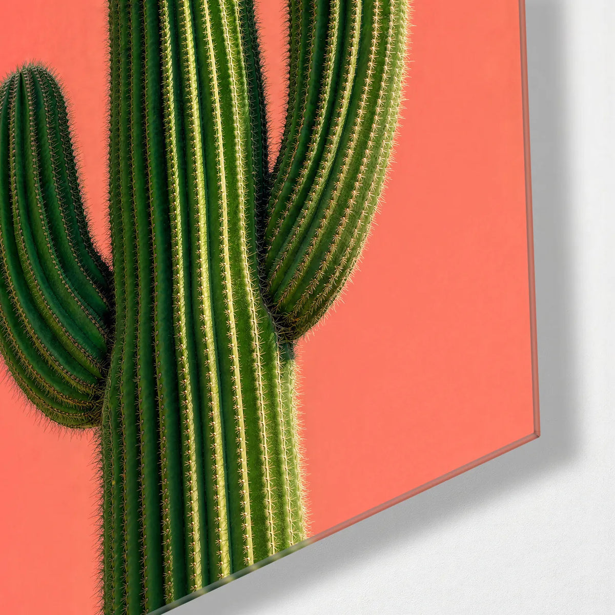 Cactus in Coral — corner detail of glass wall art