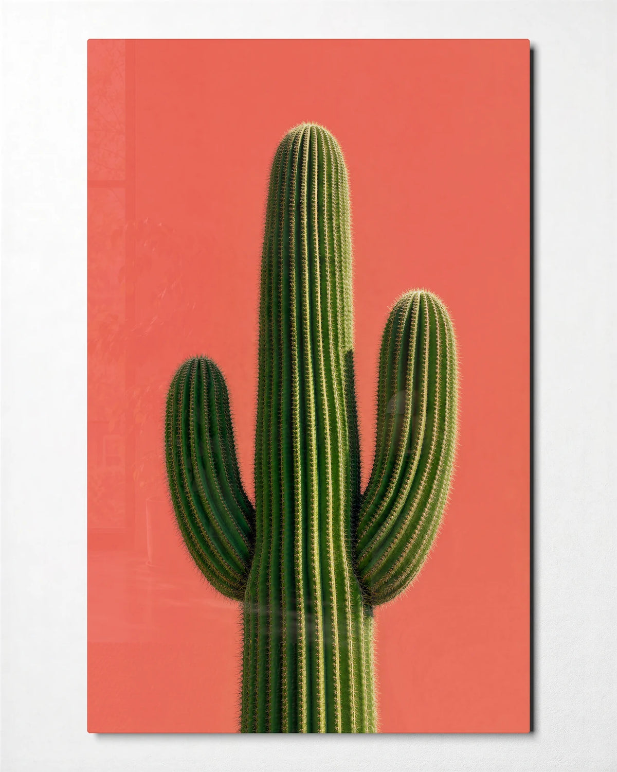 Cactus in Coral — front view of glass wall art
