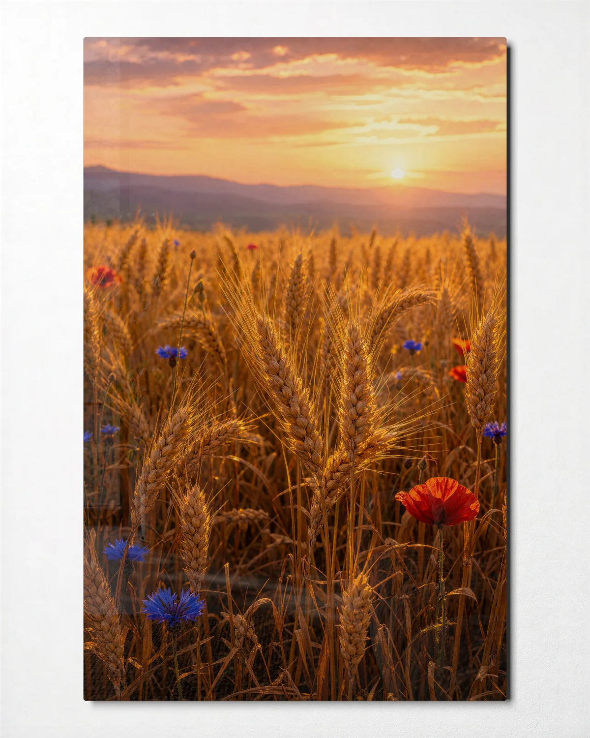 Flowers in the Wheat — front view of glass wall art