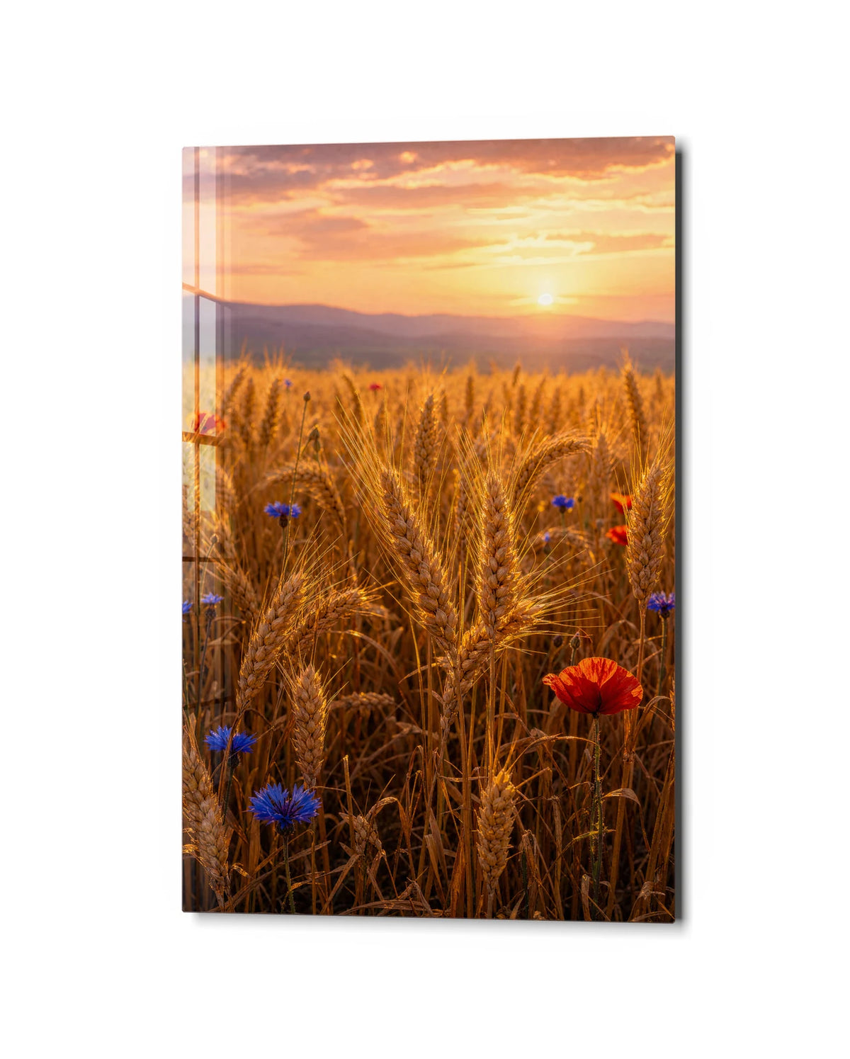 Flowers in the Wheat — studio view of glass wall art