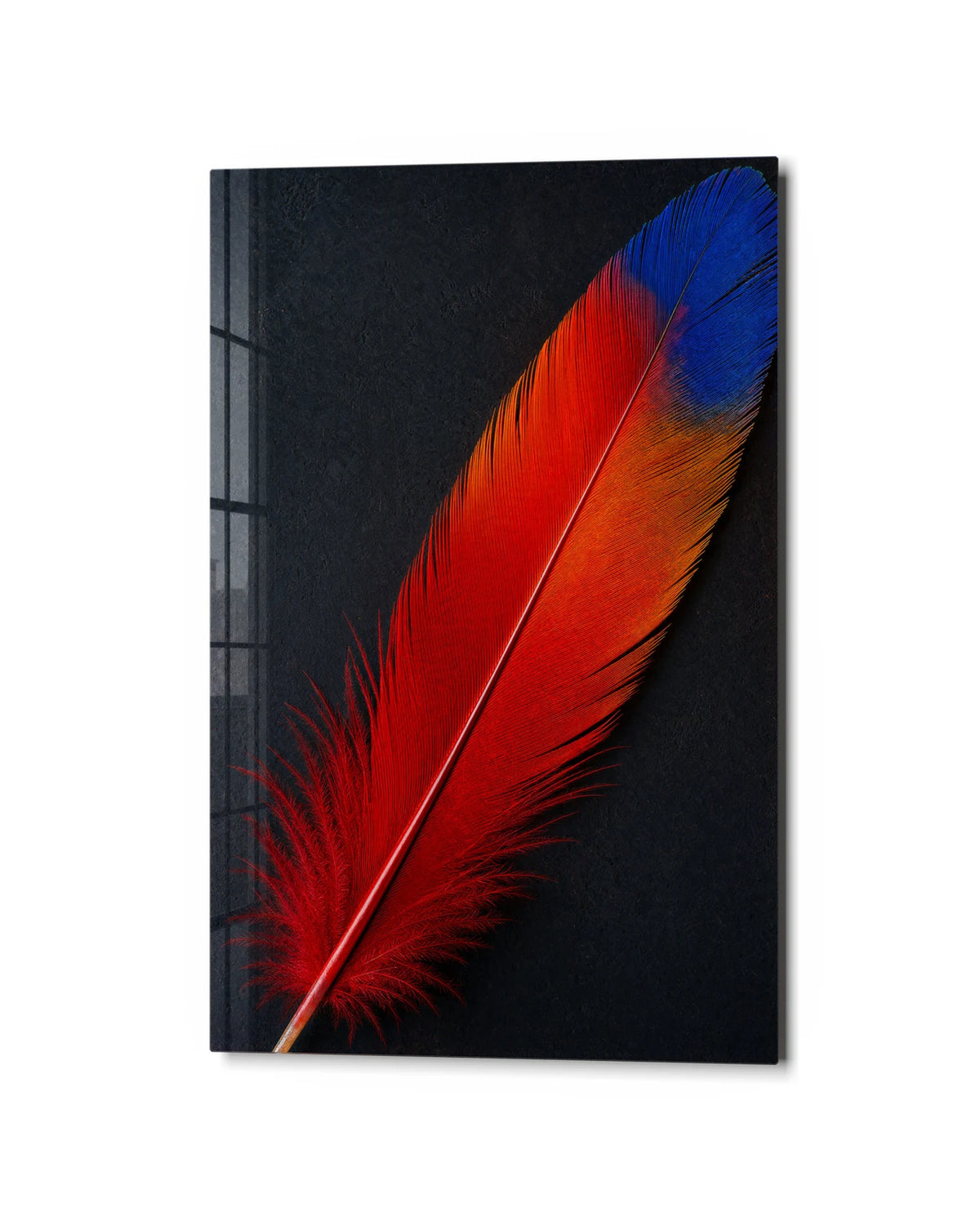 Red Feather Blue Tip — studio view of glass wall art