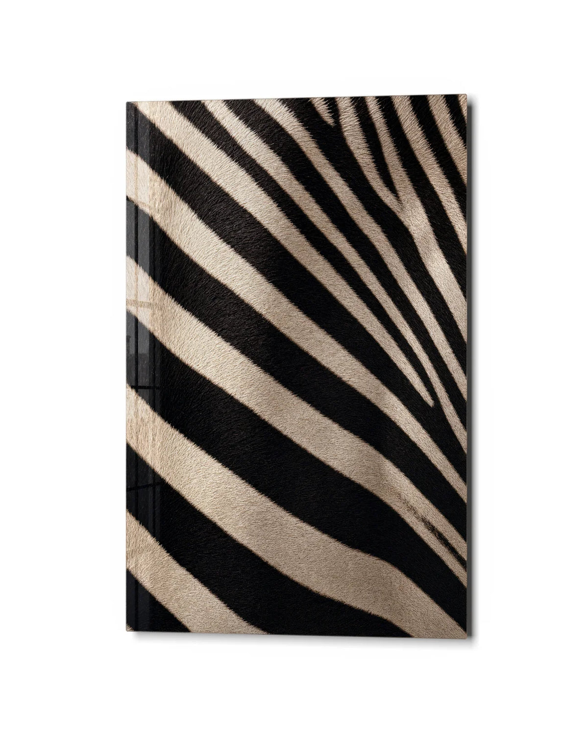 Zebra Close — studio view of glass wall art