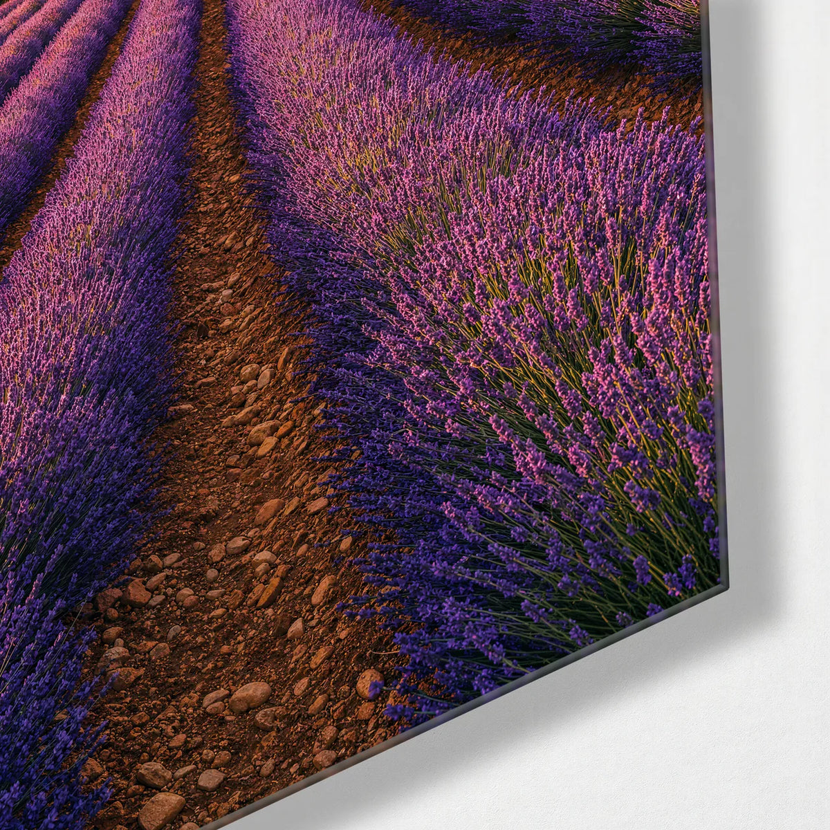 Lavender towards the House — corner detail of glass wall art