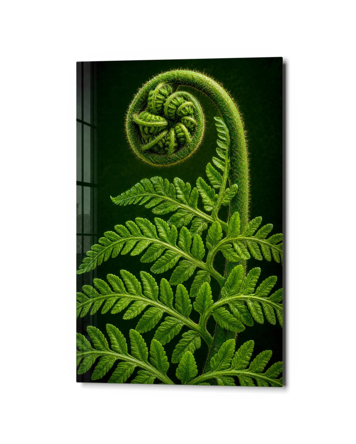 Fern Unfolding — studio view of glass wall art
