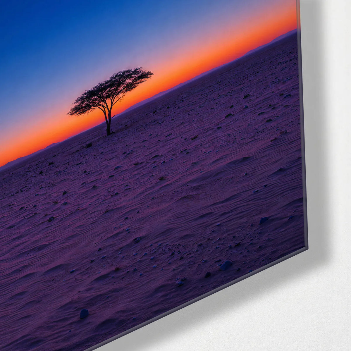 One Tree Last Light — corner detail of glass wall art