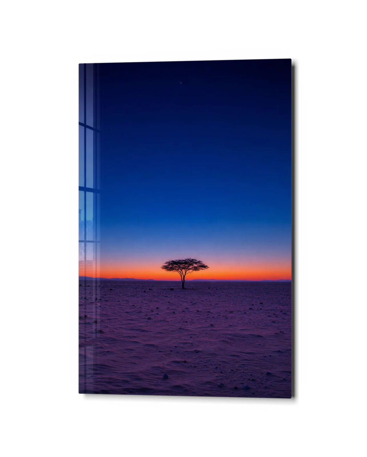 One Tree Last Light — studio view of glass wall art