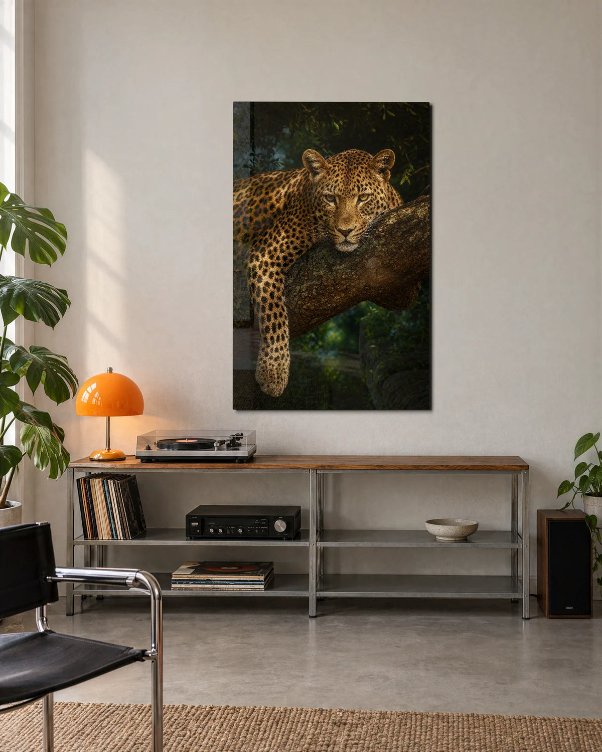 Leopard at Rest — shown in a living space