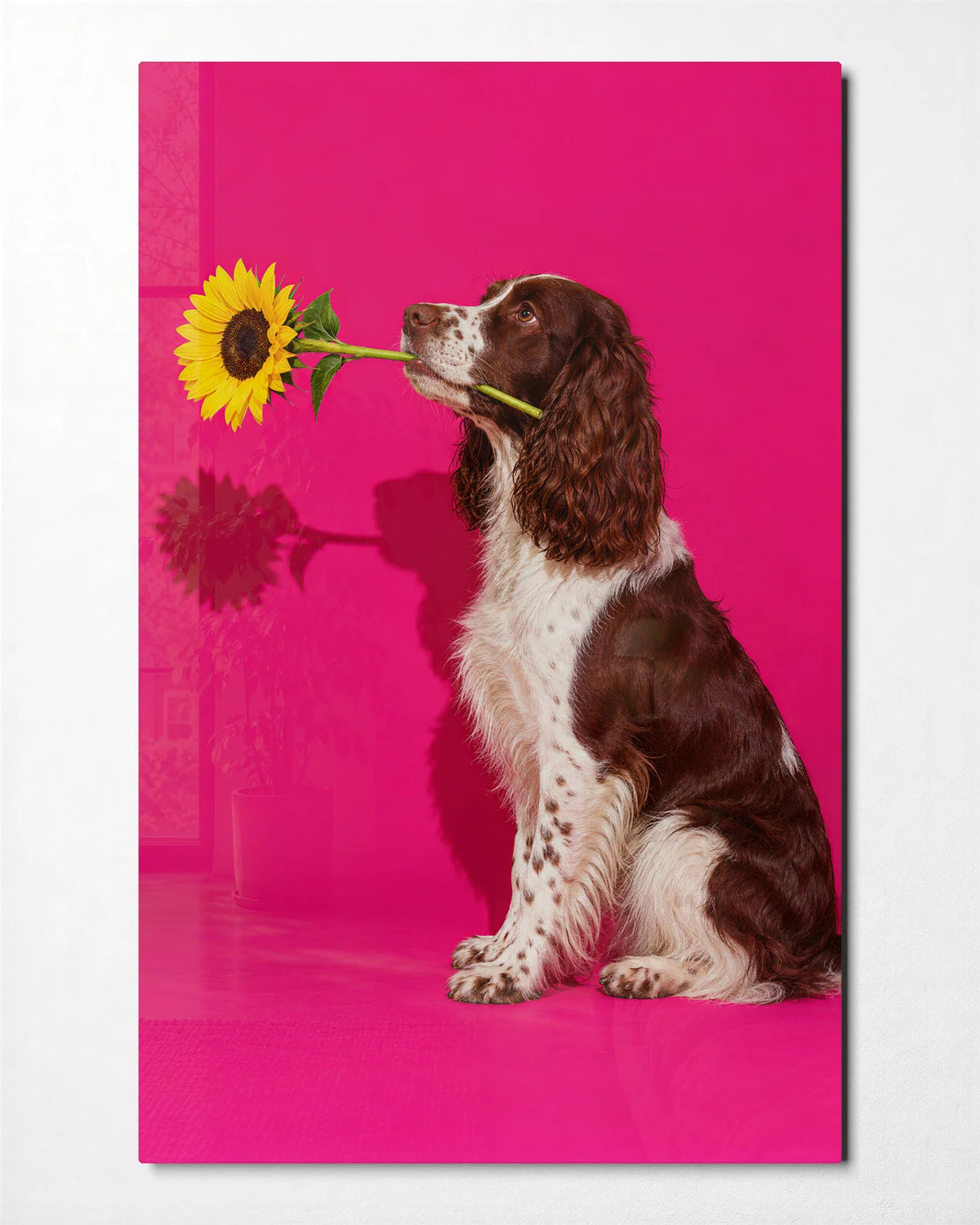 A Flower for You — front view of glass wall art