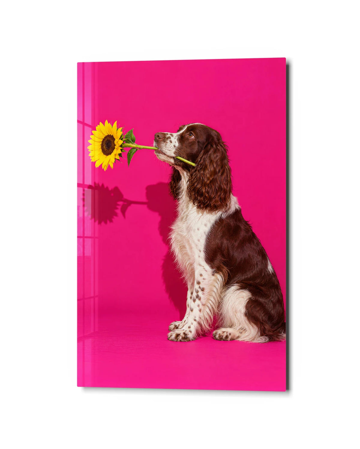 A Flower for You — studio view of glass wall art