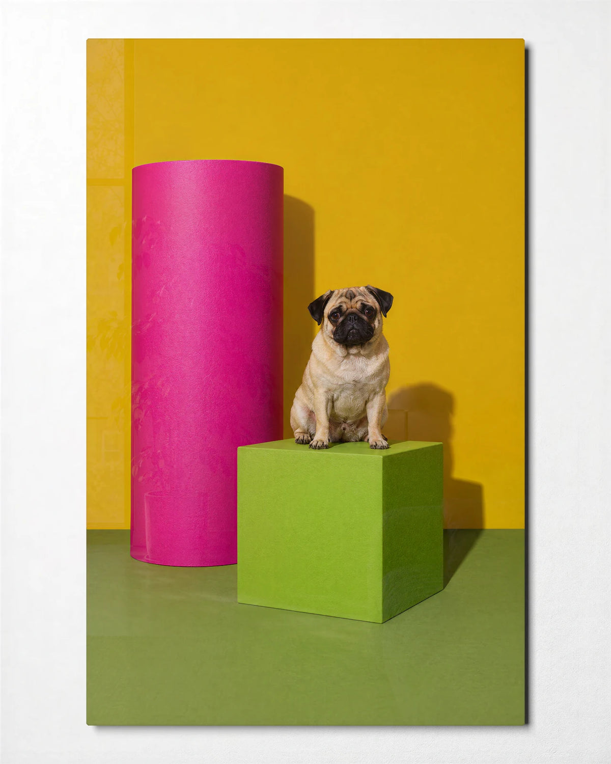 Pug on a Pedestal — front view of glass wall art