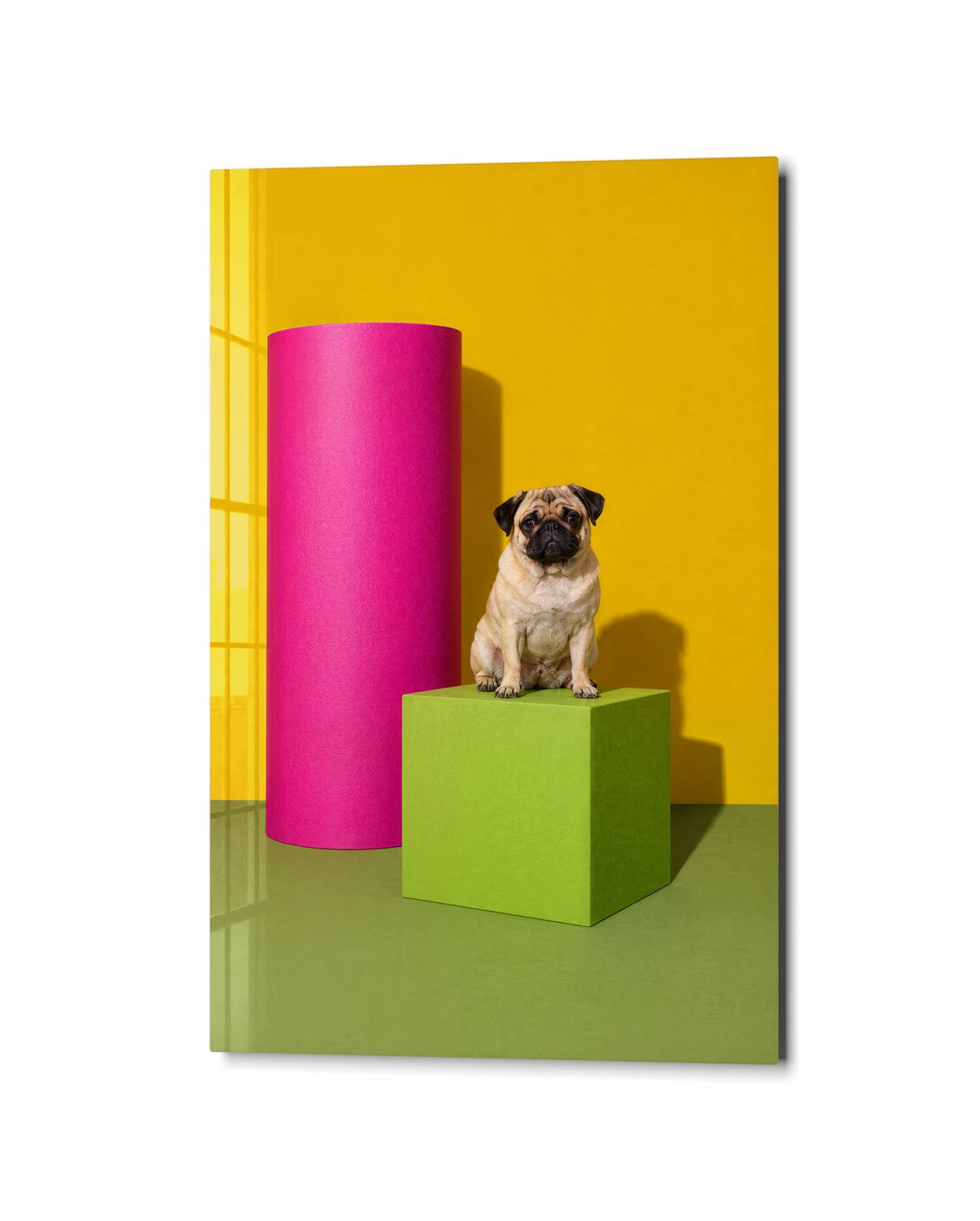 Pug on a Pedestal — studio view of glass wall art