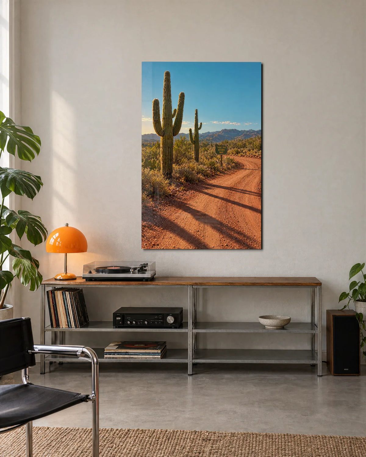 Cactus Road — shown in a living space