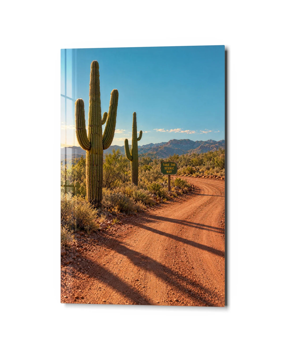 Cactus Road — studio view of glass wall art