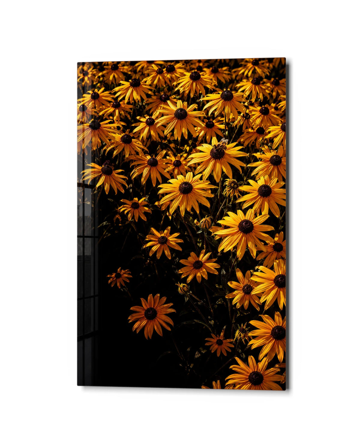 Gold Flowers after Dark — studio view of glass wall art