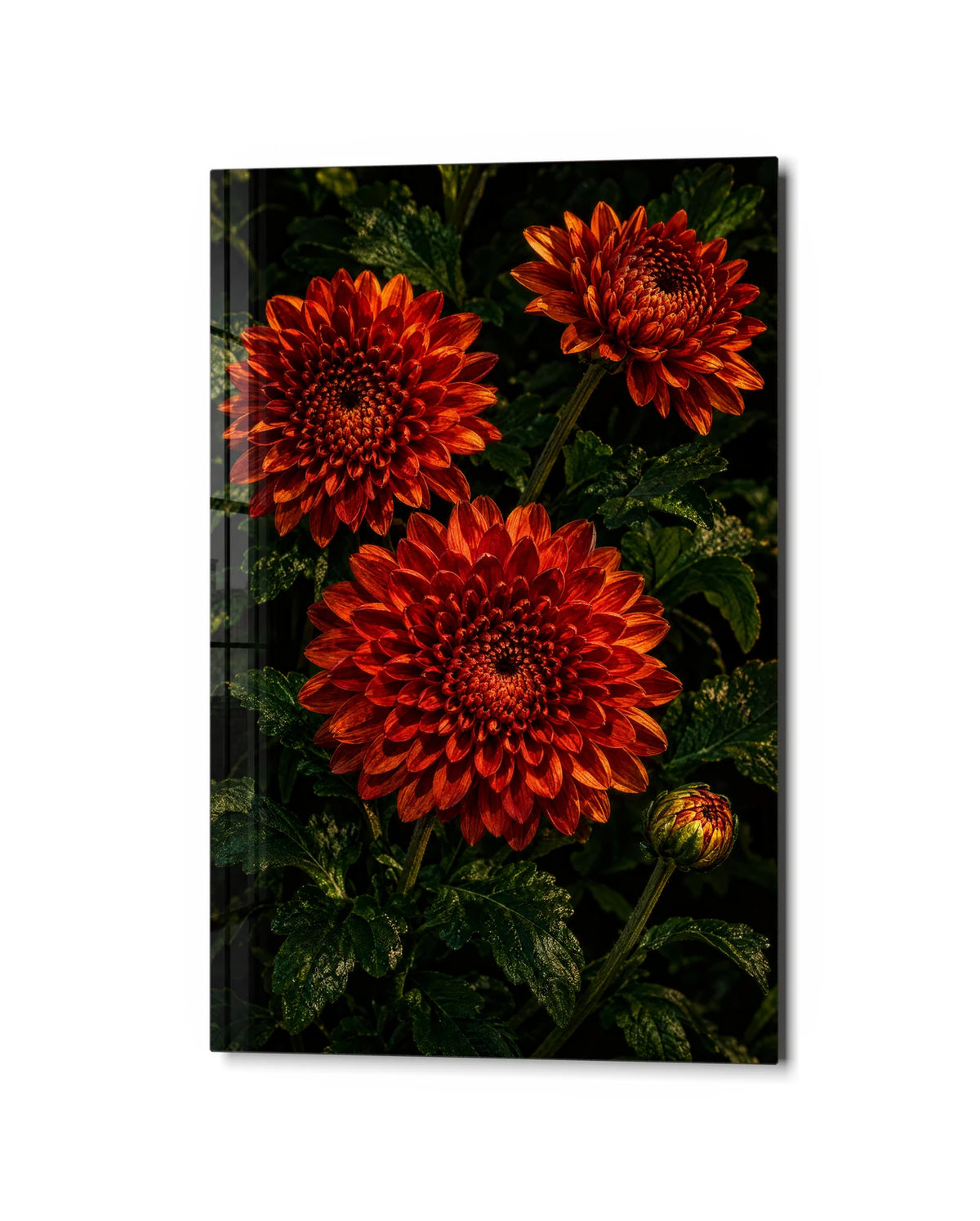 Three Red Blooms — studio view of glass wall art
