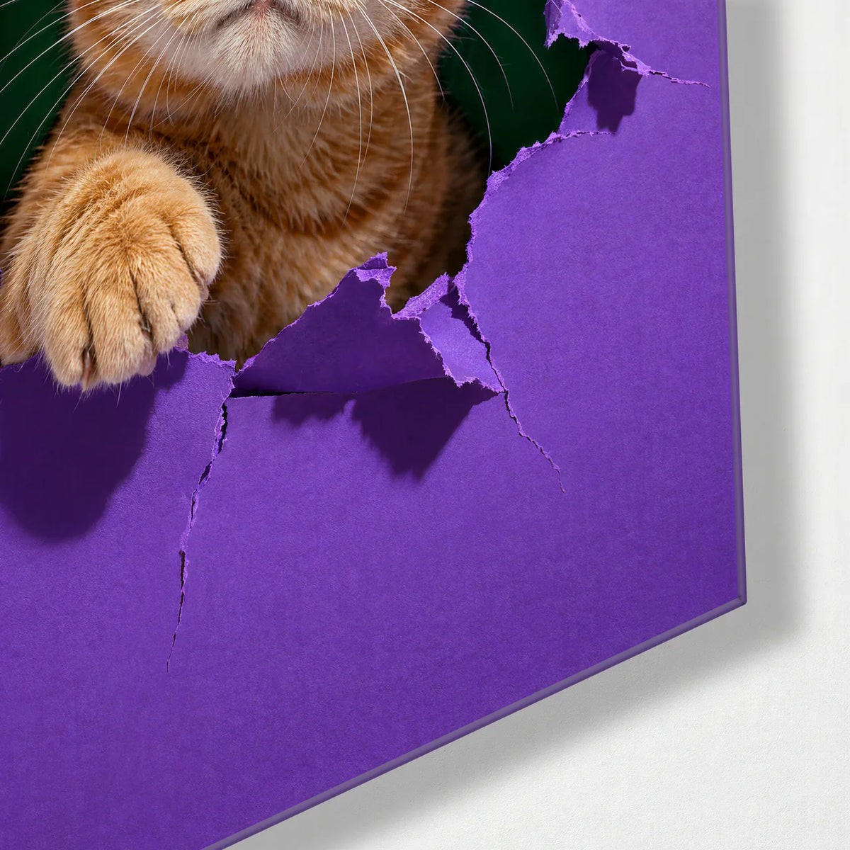 Just Popping In — corner detail of glass wall art