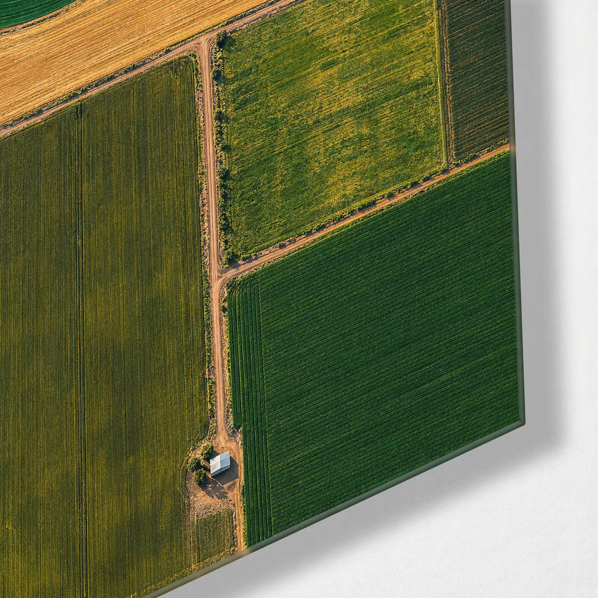 Field Geometry — corner detail of glass wall art