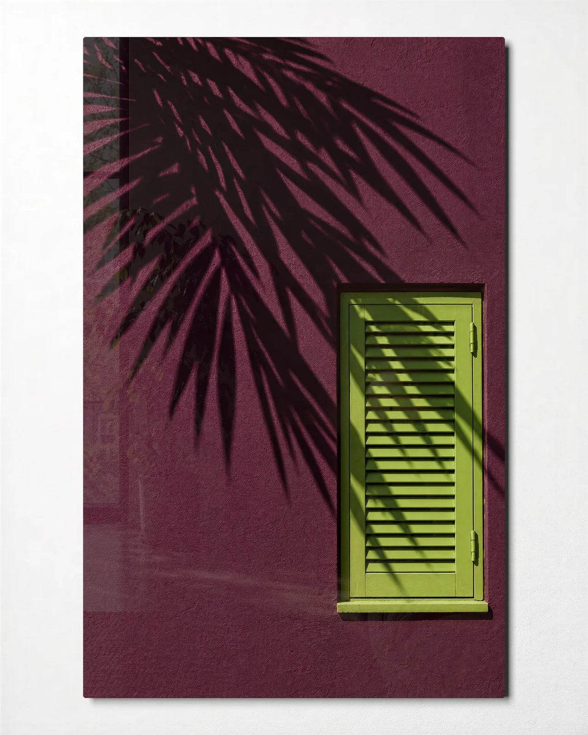 Palm Shadow Shutter — front view of glass wall art