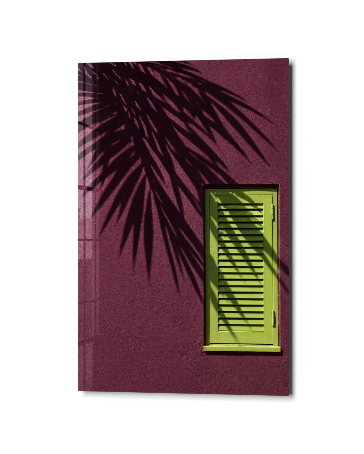 Palm Shadow Shutter — studio view of glass wall art