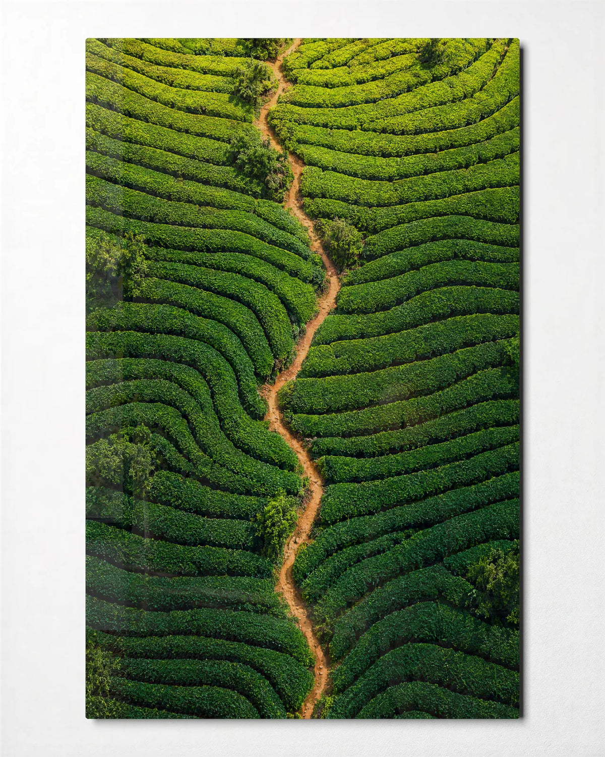 Rows around the Path — front view of glass wall art